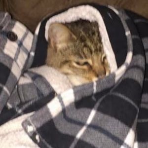 Meet your Posher, Emily